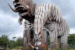 Đất nền sổ đỏ tây nguyên chỉ với 268tr vốn bỏ ra