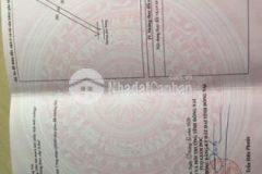 Đât trồng cây lâu năm
