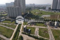 Đất dịch vụ khu đồng mới an thọ 50m2 giá cực rẻ