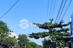 Góc văn tiến dũng cổ mân mai cần bán