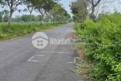 Bán đất đs 6 khu green city tt p6 tp tân an