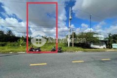 Bán 301m2 đất mặt tiền lộ 30m bình minh vĩnh long