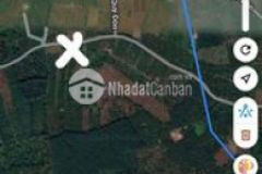 Đất rẫy krông buk giáp tx buôn hồ cách tt bhồ 3km