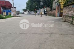 Bán đất cổ loa đông anh 3 mặt đường giá nhỉnh 2 tỷ