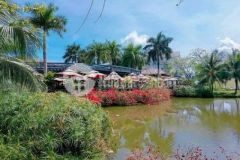 Nền biệt thự đẹp 12 5x14 đường số 2c khu nam long