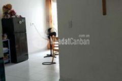 Căn hộ chung cư lê thành tân tạo 37m 595