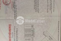 Bán đất mặt tiền đường nhựa dương thị tèn củ chi