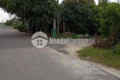 Chính chủ bán gấp ngang 50m