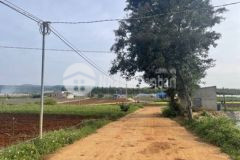 Lô thạnh mỹ đơn dương giá đầu tư