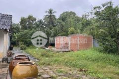 Hàng ngộp quá 4300m2 thổ vườn tân trụ