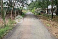 Cần bán 2 lô đất shr xã phước thạnh gò dầu