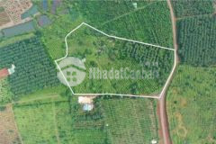 Bán đất sào gần quốc lộ 14 270 triệu 1 5 sào