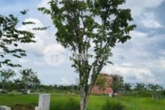 Đất nền hưnglong resident