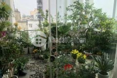 Mua nhà tăng chỗ để xe hơi dt 4x14 4 tầng 11 8 tỷ