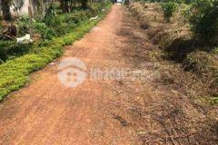 View đập hồ sen đẹp mặt tiền nhiều thổ cư 400m2