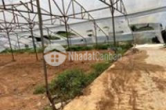 Bán gấp 2 lô đất đẹp 850 triệu lô hẻm xe hơi đầu