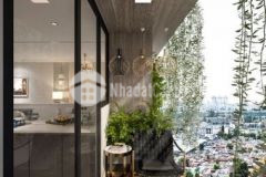 Căn hộ 2 tầng 3pn 3wc bình thạnh chỉ 50 nhận nhà