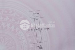 Bán nền khu văn phòng đăng ký đất long xuyên