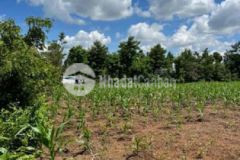 400m2 đất thổ cư eatieu giá ngộp