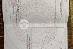 Cân ban đât xa phu đông nhơn trach 1200m2