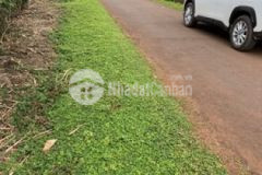 Bán đất nền ea kênh cho nhà đầu tư