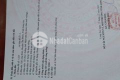 Cần tiền bán gấp đât hổ cư