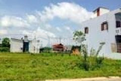 Cần bán đất mặt tiền đường tỉnh lộ 2 xã tân thông hội củ chi