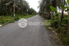 Bán nhà 6x18m mặt tiền đường bờ đập,tam hiệp,châu thành,tiền giang.