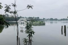 Mặt phố lô góc view hồ vỉa hè kinh doanh sầm uất 40m 15tỷ nguyễn trường tộ