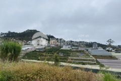 600m sô hông riêng đương ô tô view đep gia 3 ty 9 huynh tân phat p11 đa lat