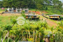 Đất giáp suối có sẵn thổ cư