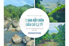 Xuống xác world cup cần bán gấp để gỡ kèo