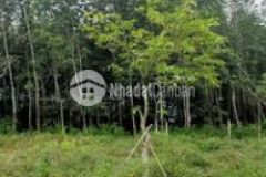 Ngộp nh bán lô đất 80m2 đường nguyễn thị chiên