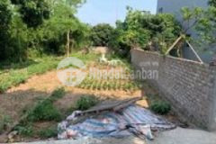 Bán đất gần cầu đại thành oto vào đất 55m