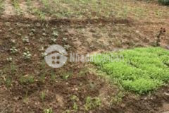 Chỉ 12 tr m có ngay đất mặt đường kinh doanh