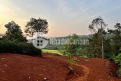 Bán 50m đất nn quy hoạch tc đạt lý cách ql100m