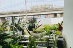 Không còn căn thứ 2 mtkd 90m2 nhỉnh 6 tỷ quận 7