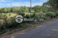 Kẹt tiền mùa dịch bán lỗ vốn miếng đất sổ hồng