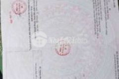 Đất 5x33 100m thổ cư cọc là lời ngay