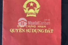 Đất ngã tư trung tâm quận thanh khê