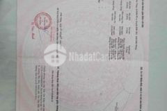 Bán 60 hecta tại đăk mil