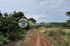 Ngộp bán 1 sào đất đắk sin 2 mặt đường qh thổ cư