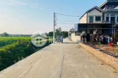 Bán đất nguyên khê đông anh hà nội đất vỏ làng