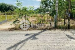 Đất củ chi 236m2 chỉ 2 3 tỷ sổ đỏ sang tên ngay