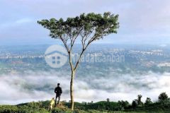 Đất sào view săn mây núi đại bình 1 3triệum2 sổ