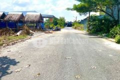 Nền đẹp giá rẻ dự án sao mai