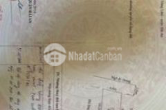 Nhà riêng ngõ ô tô phố trung hành vị trí