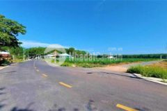 Bán rẻ 1013m2 đất 20x52m đường nhựa gần kdl