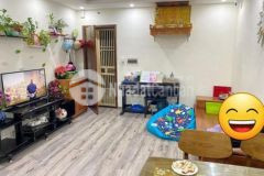 Bán nhà mỹ đình phân lô ô tô kd 54m2x5t 6 6 tỷ