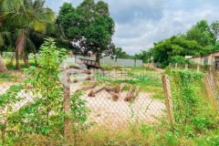 Bán đất tiên thuận bến cầu tây ninh 500m2 1tỷ5